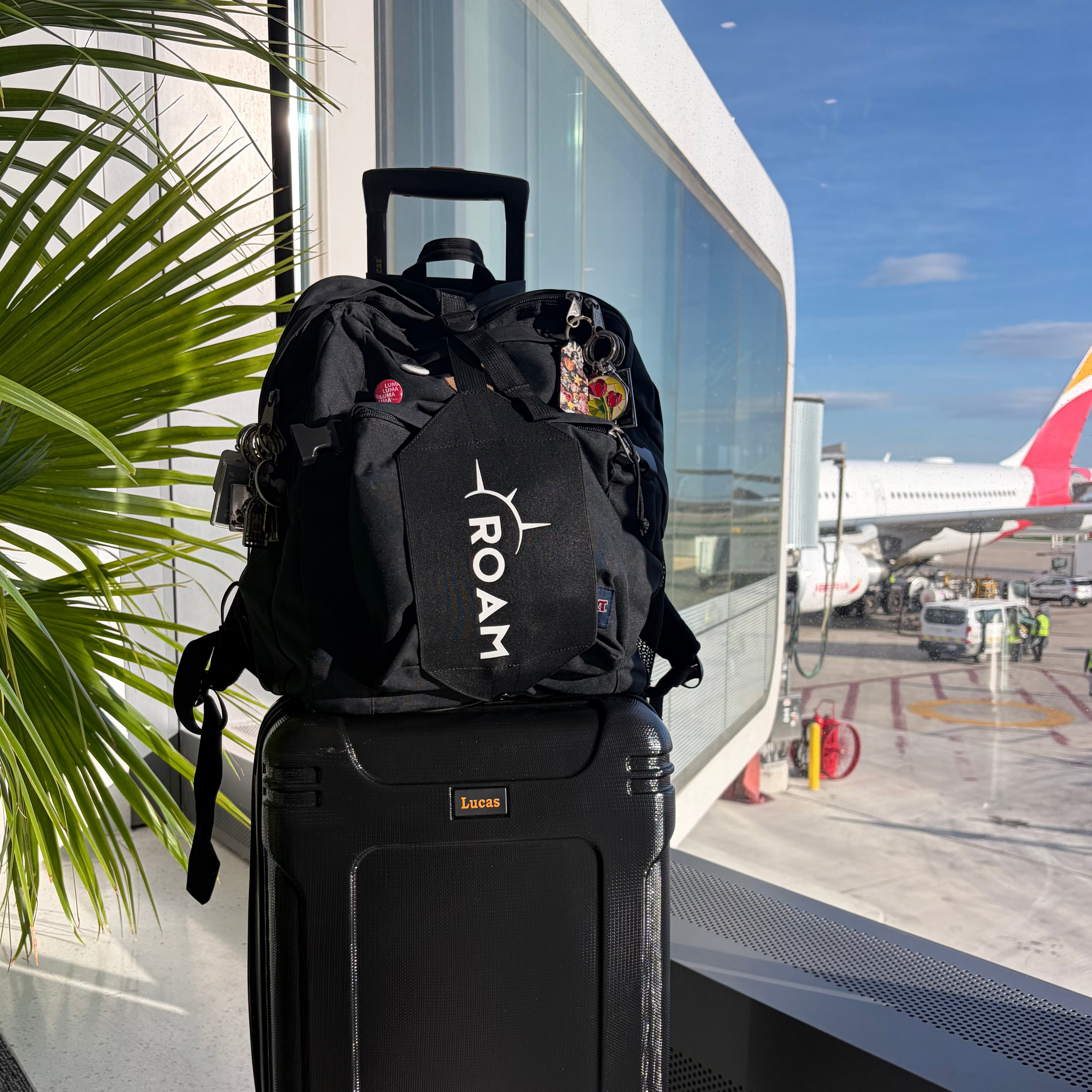 Roam Link - Luggage Strap
